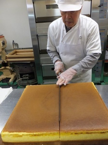 画像9: 長崎カステラアイス（バニラ１0個）【クール送料別・梱包代込】 (9)