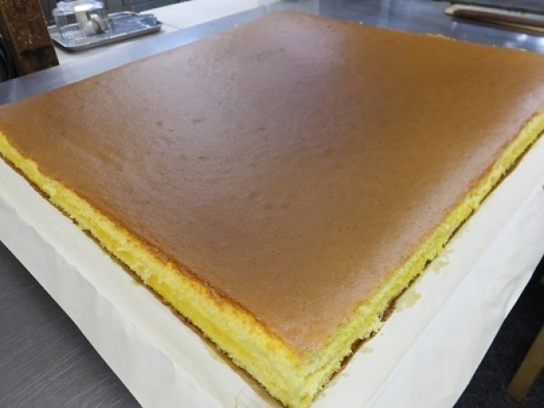 画像8: 長崎カステラアイス（バニラ１0個）【クール送料別・梱包代込】 (8)