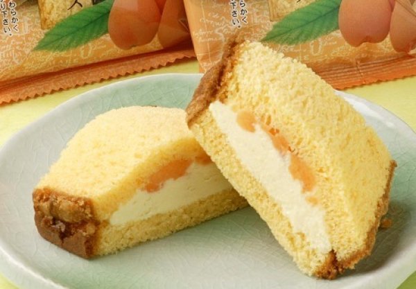 画像11: ★長崎カステラアイス（７種1０個）【クール送料別・梱包代込】 (11)