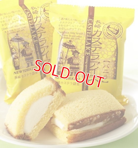 画像1: 【長崎工場直送】長崎カステラアイス（バニラ１0個）【クール送料別・税込・梱包代込】 (1)