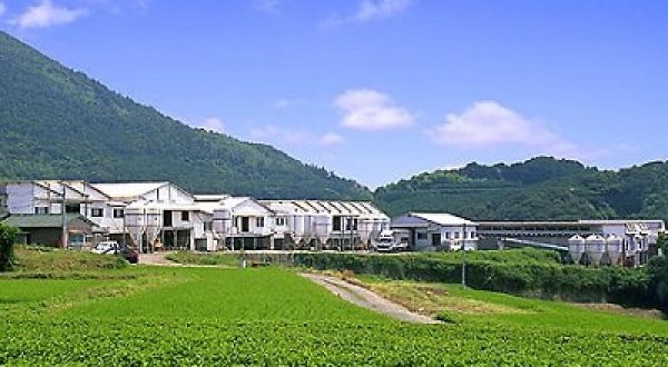 画像12: 長崎カステラアイス（バニラ１0個）【クール送料別・梱包代込】 (12)