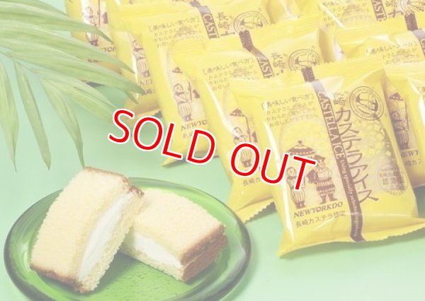 画像1: 【長崎工場直送】長崎カステラアイス（バニラ20個）【クール送料別・税込・梱包代込】 (1)