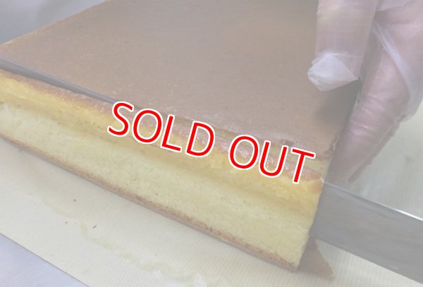 画像10: 新発売　長崎カステラアイス＆長崎カステラ切れはし【クール送料別・梱包代込】 (10)