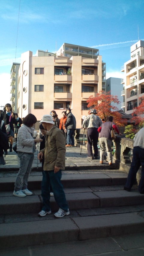 今日の眼鏡橋