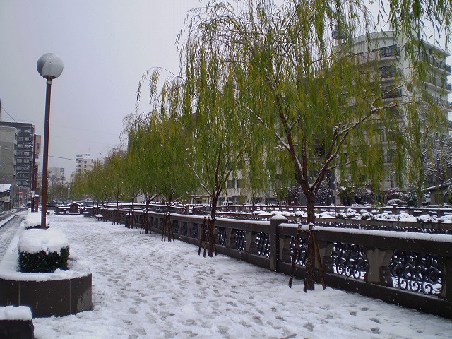 眼鏡橋　もっと近づくと・・・