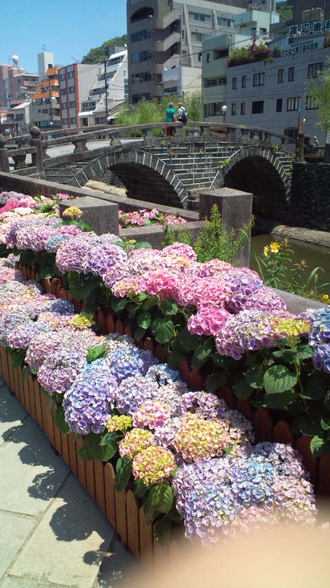 今年も始まりました（６月１３日まで）